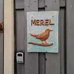 Merel